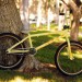 Eric L Bike Check and New Ian Color!
