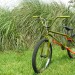 Model C Bike Checks!  Part 1