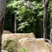Tom Arkus Photo!