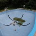 4th of July Pool Party