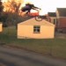 D-Town Limits