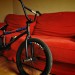 Lee Dennis Bike Photos!