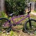 Jake Seeley Bike Photos