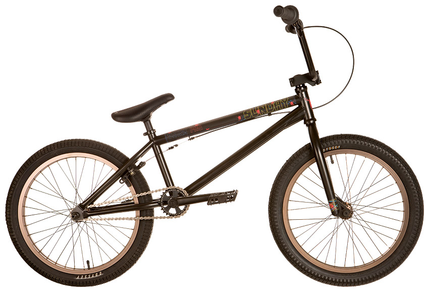 Gary Young PRO