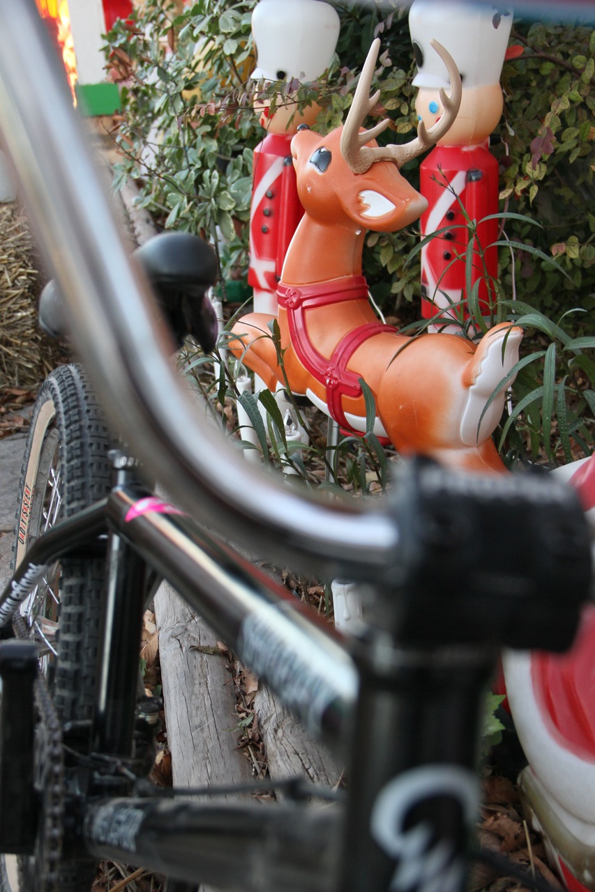bike holiday