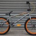 Alex Magallan Bonus Bike