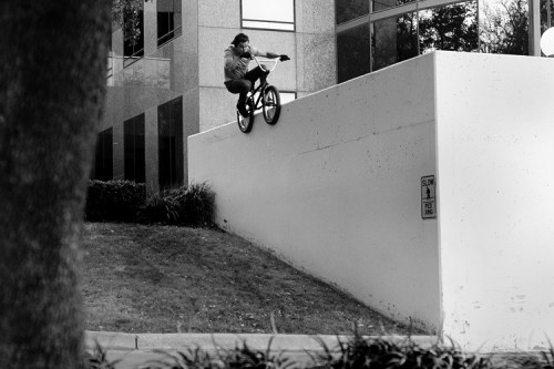 alex-5050-drop-horizontal_DSC5213