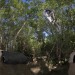 Trail Trip Day 1!