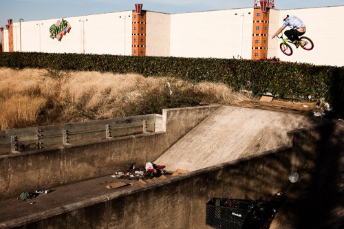 aaron_ross_bushes_wedge_180