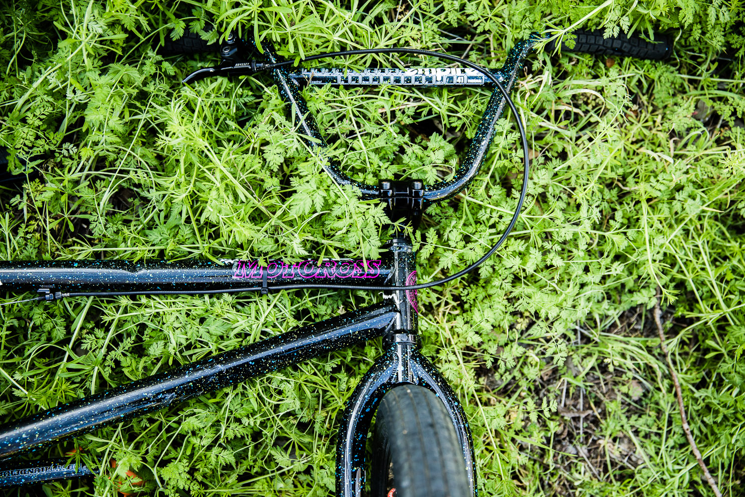 Aaron ross bike check Clearance