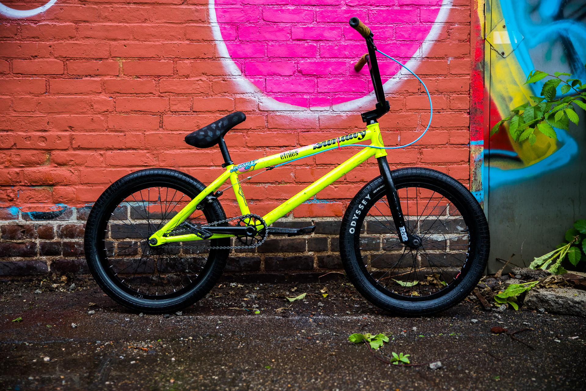 Bike Checks Sunday Bikes